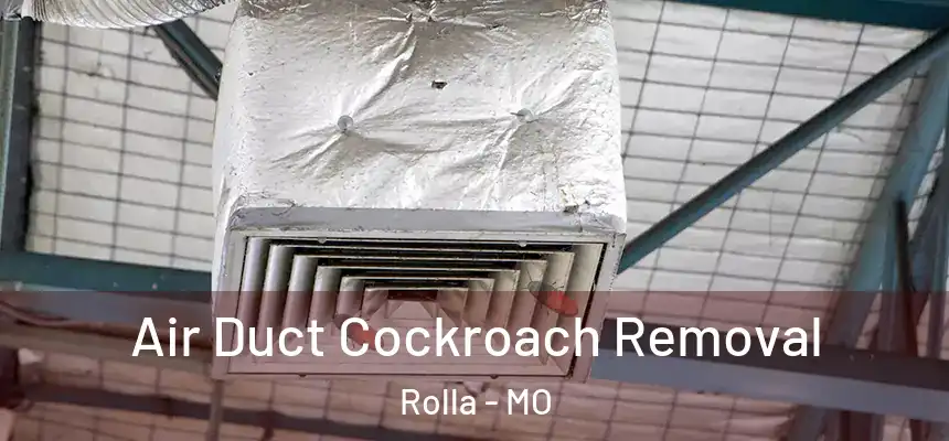  Air Duct Cockroach Removal Rolla - MO