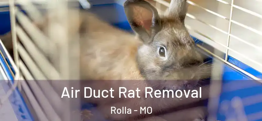 Air Duct Rat Removal Rolla - MO