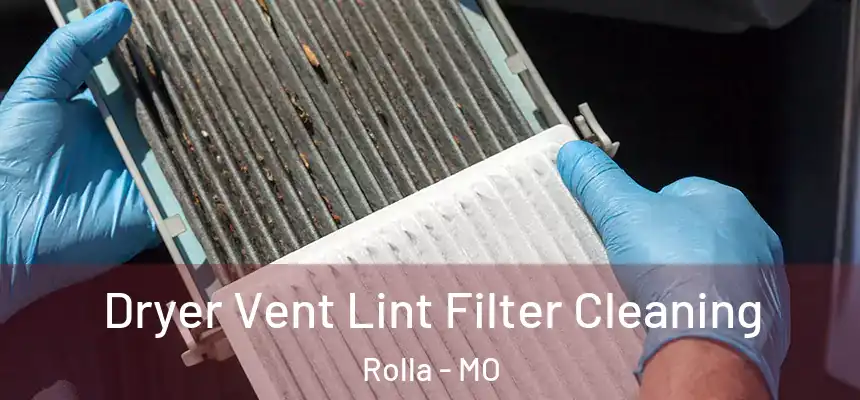  Dryer Vent Lint Filter Cleaning Rolla - MO