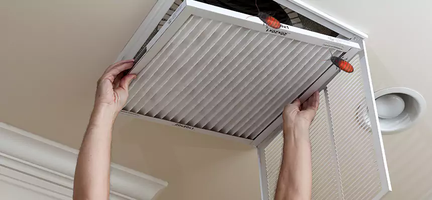 Our Insect Removal from Air Ducts Services in Rolla, MO