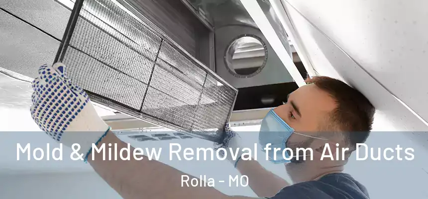 Mold & Mildew Removal from Air Ducts Rolla - MO