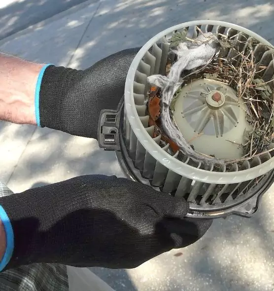 About Air Duct Mice Removal in Rolla, MO