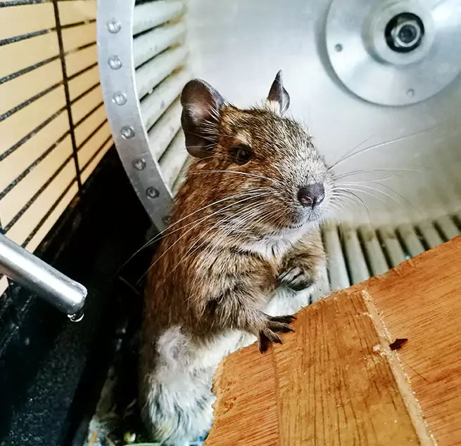 Why Homeowners & Businesses Trust Us Rolla, MO?